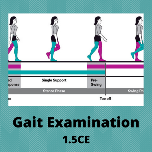 Gait Examination - Movement Analysis Training Video